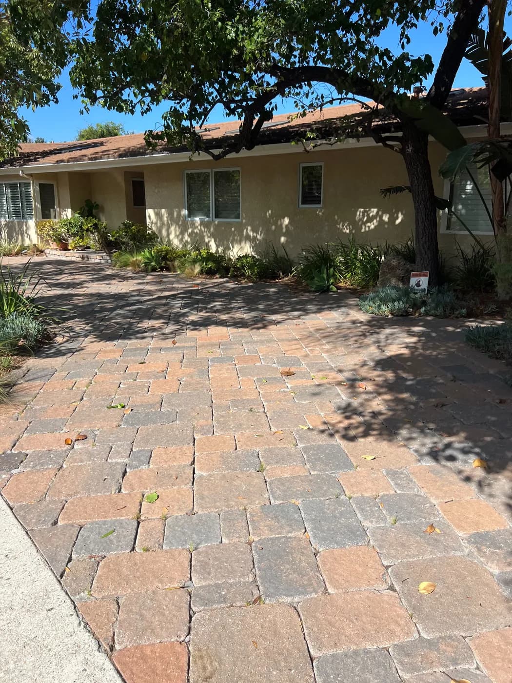 Turf and hardscape work by Top Tech Builders, photo 4