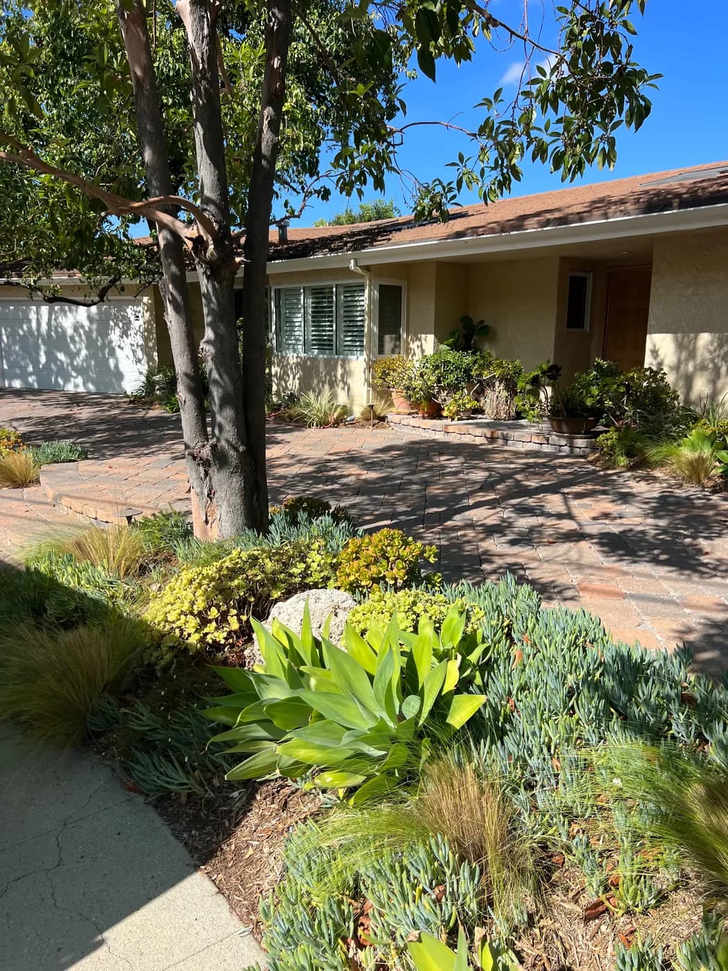 Turf and hardscape work by Top Tech Builders, photo 9