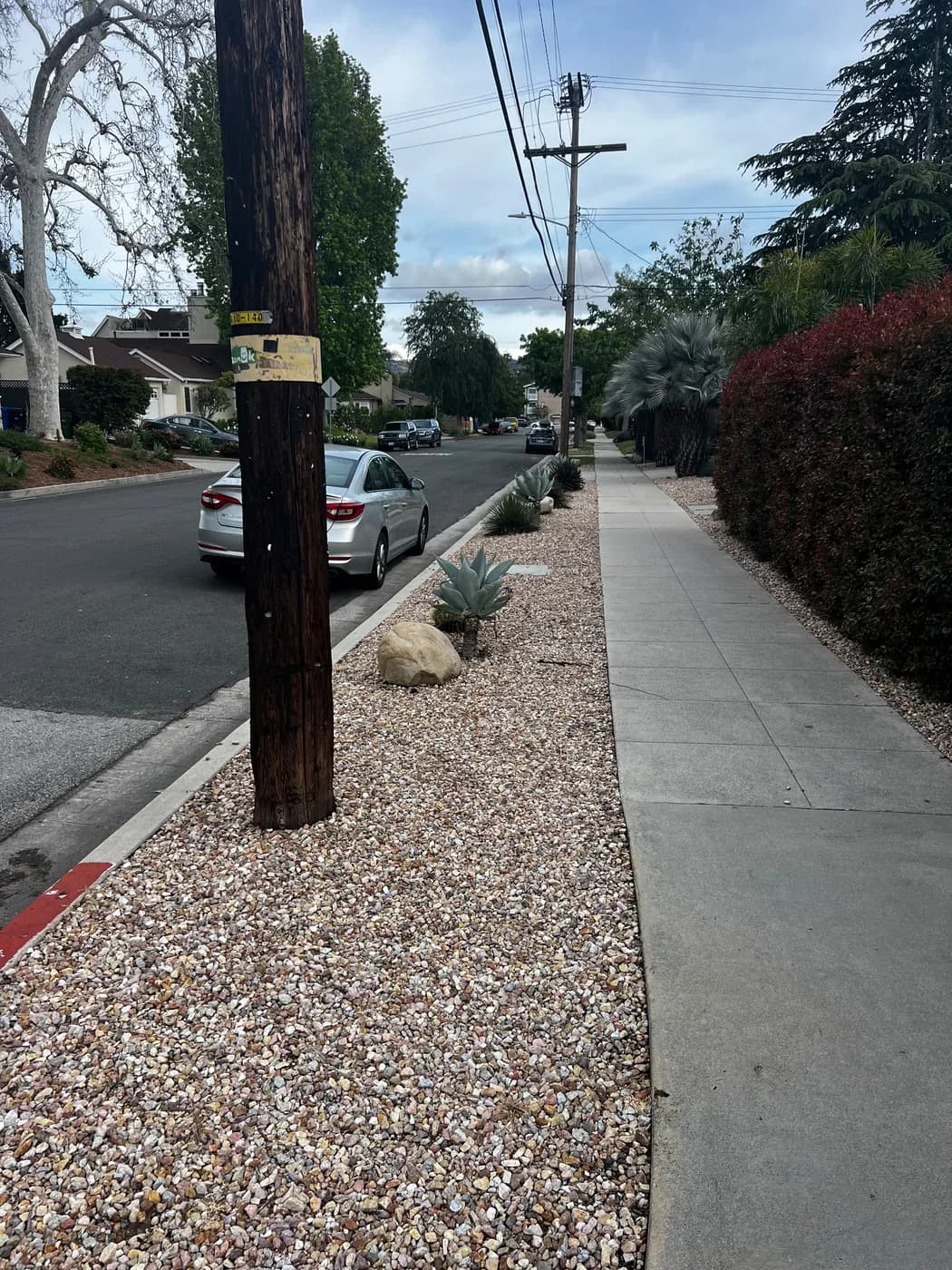 Turf and hardscape work by Top Tech Builders, photo 12