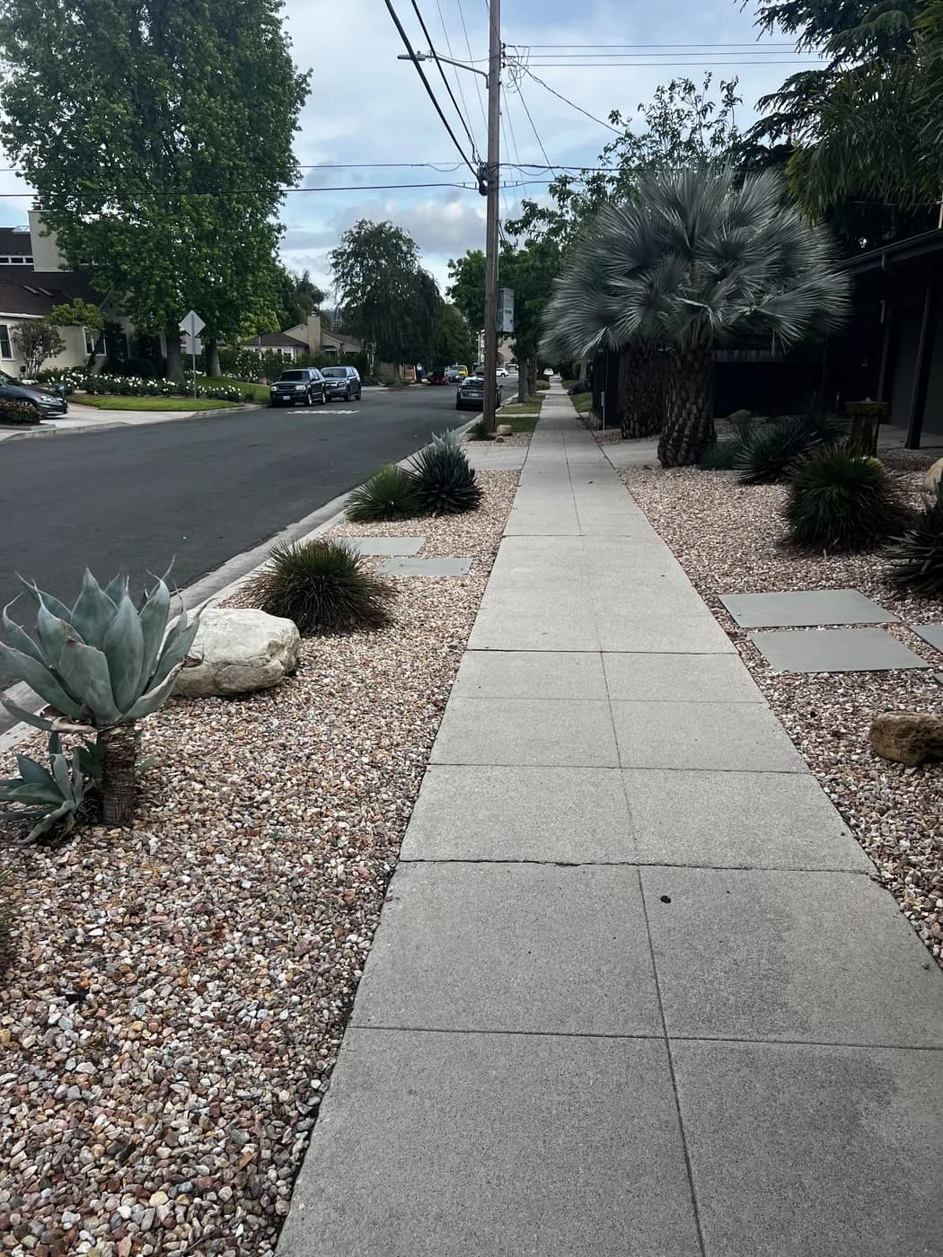 Turf and hardscape work by Top Tech Builders, photo 15